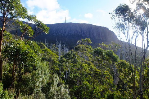 Mt. Wellington Morning Hike + Afternoon Beer & History Walk - Hervey Bay Accommodation 4