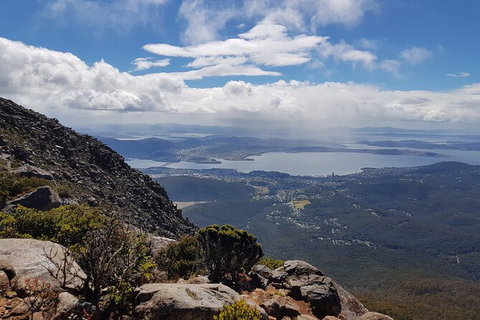 Mt. Wellington Morning Hike + Afternoon Beer & History Walk - Hervey Bay Accommodation 5