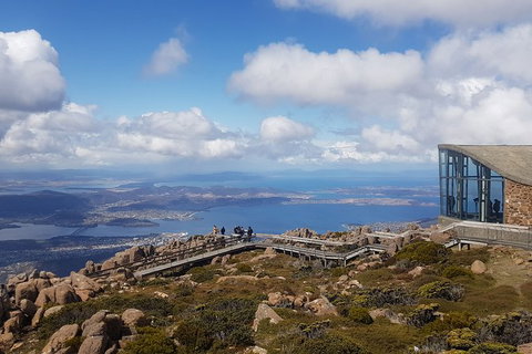 Mt. Wellington Morning Hike + Afternoon Beer & History Walk - Hervey Bay Accommodation 3