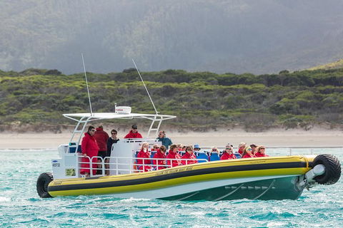 Wilsons Promontory Wilderness Cruise From Tidal River - Tourism Hervey Bay 2