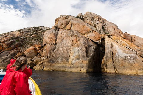 Wilsons Promontory Wilderness Cruise From Tidal River - Tourism Hervey Bay 4