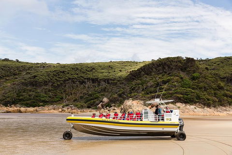 Wilsons Promontory Wilderness Cruise From Tidal River - Tourism Hervey Bay 1