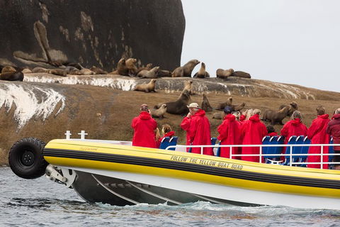 Wilsons Promontory Wilderness Cruise From Tidal River - Tourism Hervey Bay 3