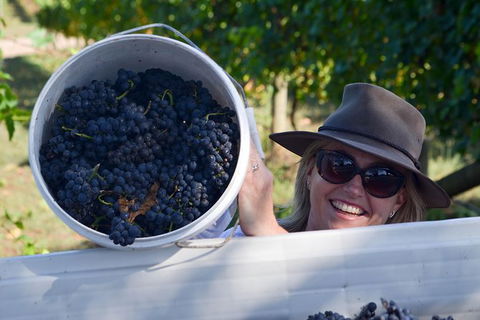 Meet The Farmer, Meet The Chef For 2 People - Tourism Hervey Bay 8