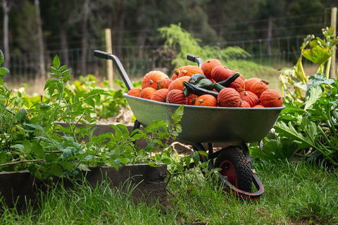 Meet The Farmer, Meet The Chef For 2 People - Tourism Hervey Bay 14