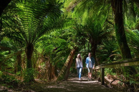 The Great Ocean Road 1 Day Private Sunset Tour - Tourism Hervey Bay 1