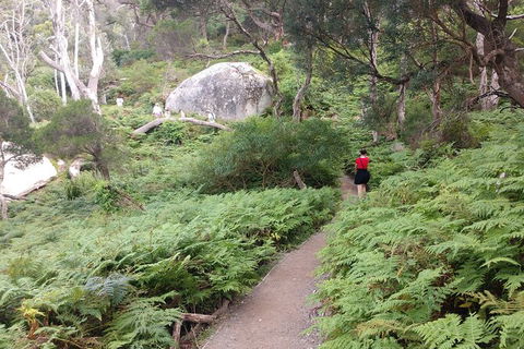Wilsons Promontory Brainstorming Escape - Tourism Hervey Bay 2