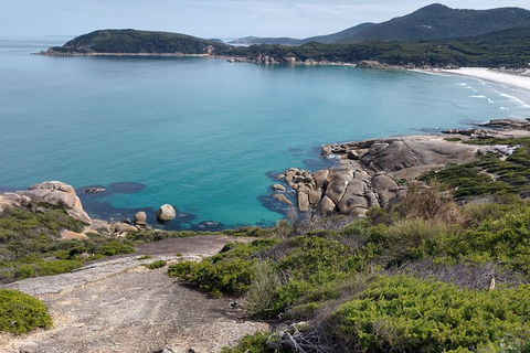 Wilsons Promontory Brainstorming Escape - Tourism Hervey Bay 4