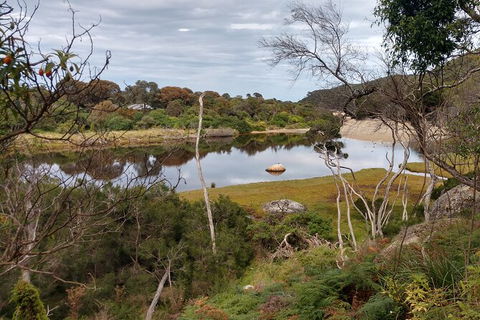 Wilsons Promontory Brainstorming Escape - Tourism Hervey Bay 9