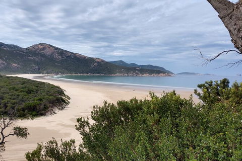 Wilsons Promontory Brainstorming Escape - Tourism Hervey Bay 1