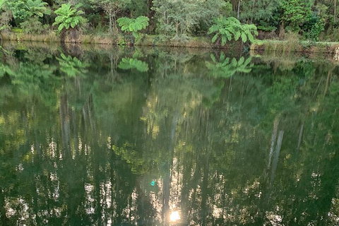 Hiking Tour To Aqueduct And Warburton Valley Lookout - Tourism Hervey Bay 2
