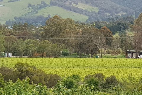 Day Tour Of Yarra Valley Puffing Billy And Rayners Orchard - Hervey Bay Accommodation 44
