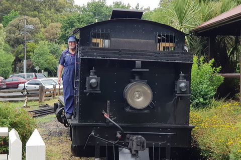 Day Tour Of Yarra Valley Puffing Billy And Rayners Orchard - Hervey Bay Accommodation 11