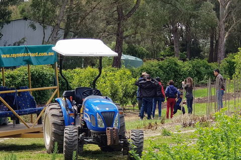 Day Tour Of Yarra Valley Puffing Billy And Rayners Orchard - Hervey Bay Accommodation 10