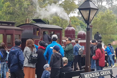 Day Tour Of Yarra Valley Puffing Billy And Rayners Orchard - Hervey Bay Accommodation 40