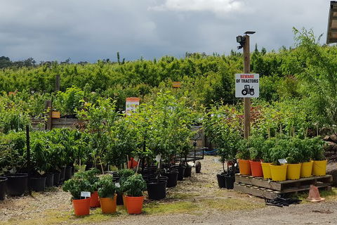 Day Tour Of Yarra Valley Puffing Billy And Rayners Orchard - Hervey Bay Accommodation 46