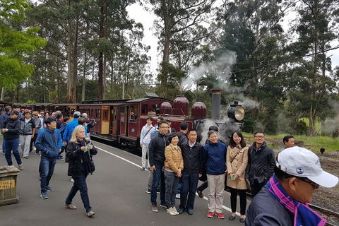 Day Tour Of Yarra Valley Puffing Billy And Rayners Orchard - Hervey Bay Accommodation 9