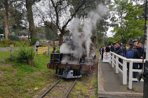 Day Tour Of Yarra Valley Puffing Billy And Rayners Orchard - Hervey Bay Accommodation 43