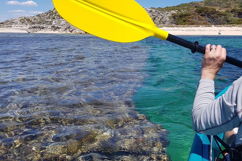 Rottnest Glass Bottom Kayaking Tour - Tourism Hervey Bay 3