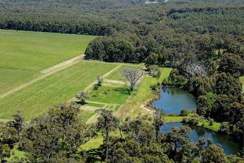 Half Day Wine & Food Tour - Tourism Hervey Bay 6