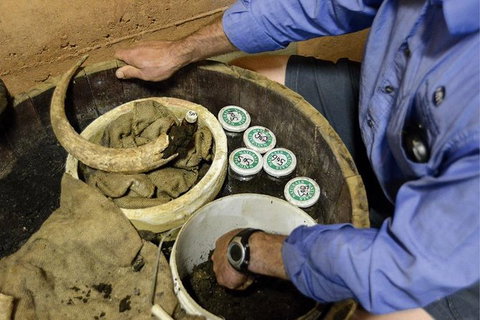 Half Day Wine & Food Tour - Tourism Hervey Bay 5