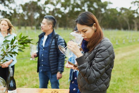 Organic Vineyard/Farm Tour - Hervey Bay Accommodation 1
