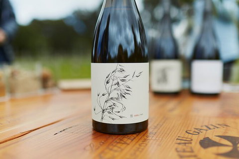 Organic Vineyard/Farm Tour - Hervey Bay Accommodation 8