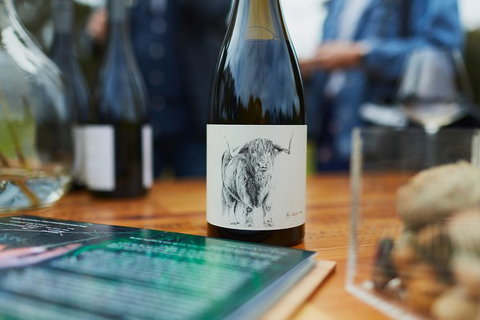 Organic Vineyard/Farm Tour - Hervey Bay Accommodation 5