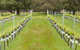 Organic Vineyard/Farm Tour - thumb 4