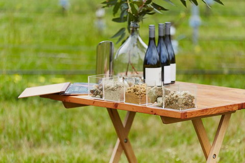 Organic Vineyard/Farm Tour - Hervey Bay Accommodation 3