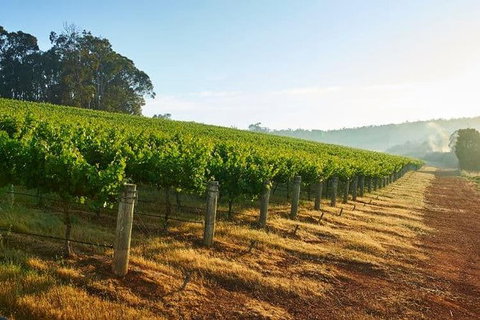 Botanical Gardens, Winery And Scenic Full Day Tour - Hervey Bay Accommodation 2