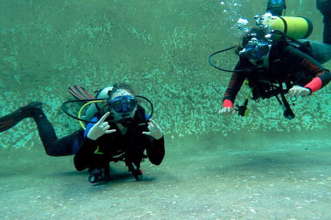 PADI Open Water Course - Hervey Bay Accommodation 4