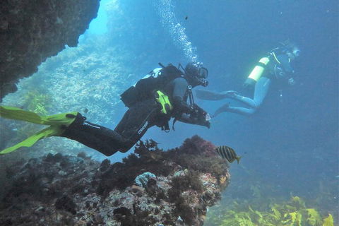 PADI Open Water Course - Hervey Bay Accommodation 2