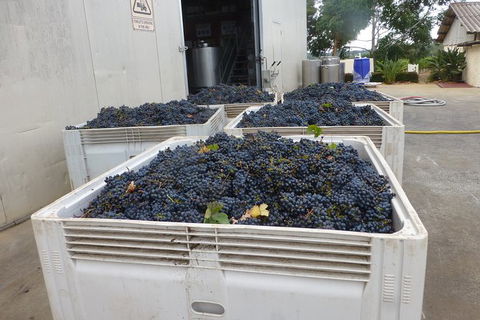 A Taste Of Margaret River Luxury Wine Tour - Hervey Bay Accommodation 3