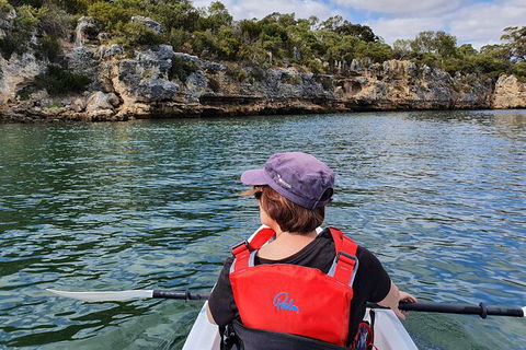 Cliffs And Caves Kayak Tour In Swan River - Tourism Hervey Bay 1