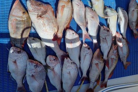 Geraldton Fishing Charter - Tourism Hervey Bay 7