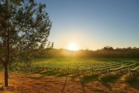 Private Barrel Hall Wine Tasting In The Margaret River Region - Hervey Bay Accommodation 3