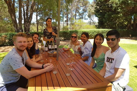 Full-Day Gourmet Wine Tour With Pick Up And Lunch - Hervey Bay Accommodation 5