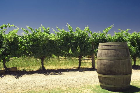 Pinnacles Desert Private Tour - Hervey Bay Accommodation 4