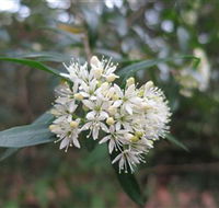 Booderee National Park - Hervey Bay Accommodation