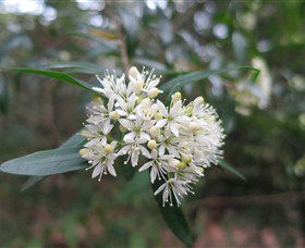 Booderee National Park - Hervey Bay Accommodation 0