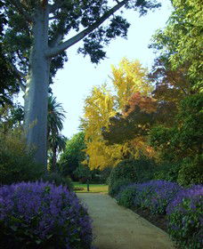 Albury Botanic Garden - Tourism Hervey Bay 0