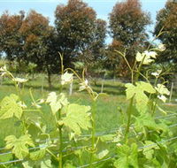 Barwon Ridge Wines