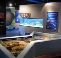 Marine and Freshwater Discovery Centre - Hervey Bay Accommodation
