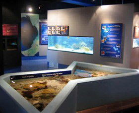 Marine And Freshwater Discovery Centre - Hervey Bay Accommodation 0