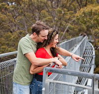 Valley of the Giants Tree Top Walk - Hervey Bay Accommodation
