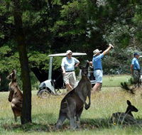 Glen Innes Golf Club - Hervey Bay Accommodation