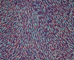 The Gate Gallery - Wollombi - Hervey Bay Accommodation 0