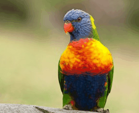 Booderee National Park - Hervey Bay Accommodation 1