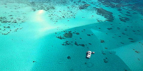 Ocean Free & Ocean Freedom - Cairns Premier Reef And Island Tours - Hervey Bay Accommodation 3
